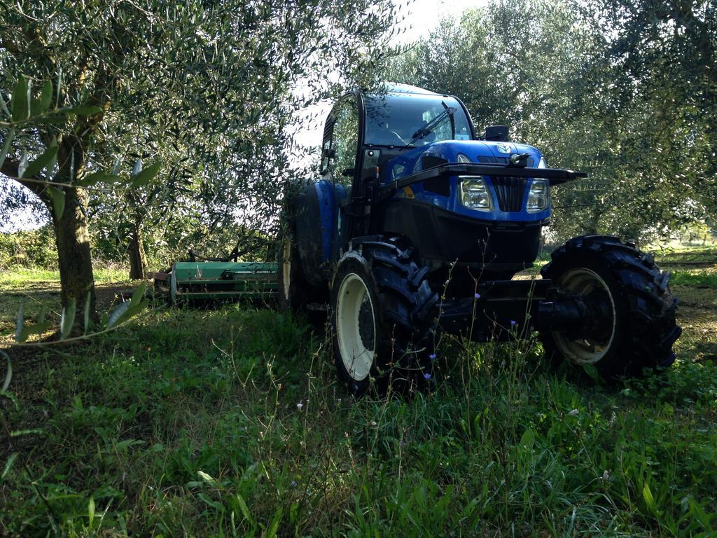 Fattoria Lucciano Villa Borghetto  Eksteriør billede