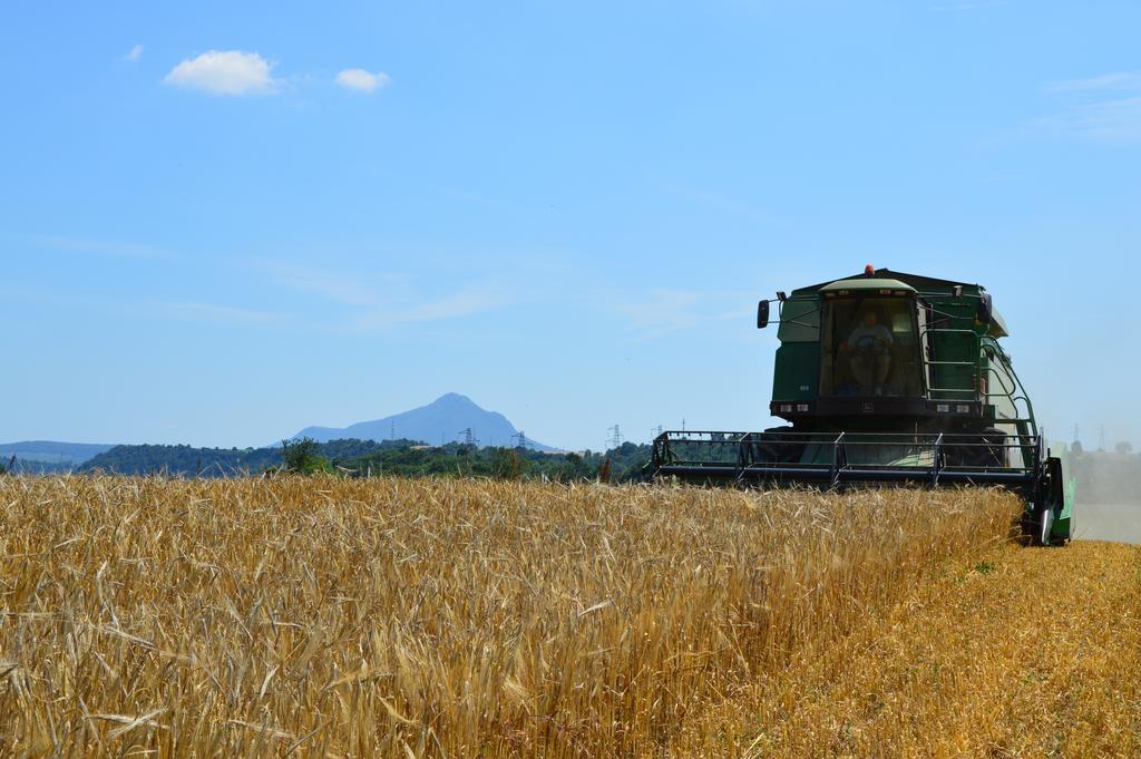 Fattoria Lucciano Villa Borghetto  Eksteriør billede