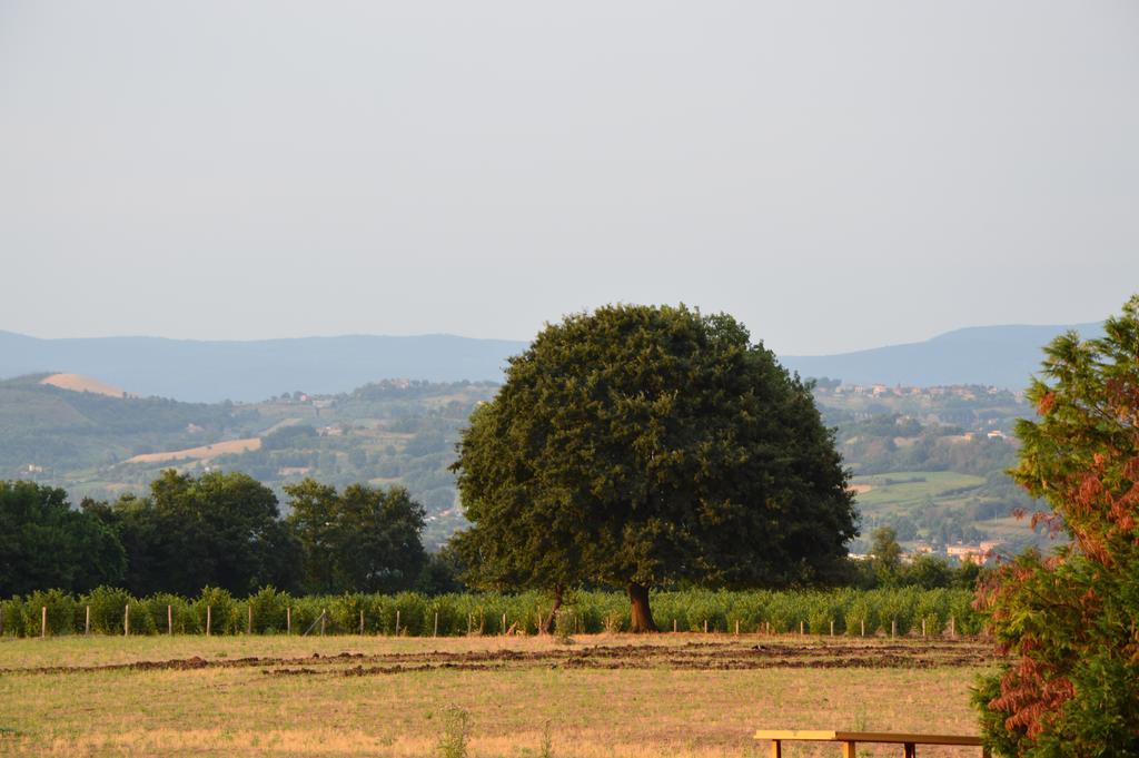 Fattoria Lucciano Villa Borghetto  Værelse billede