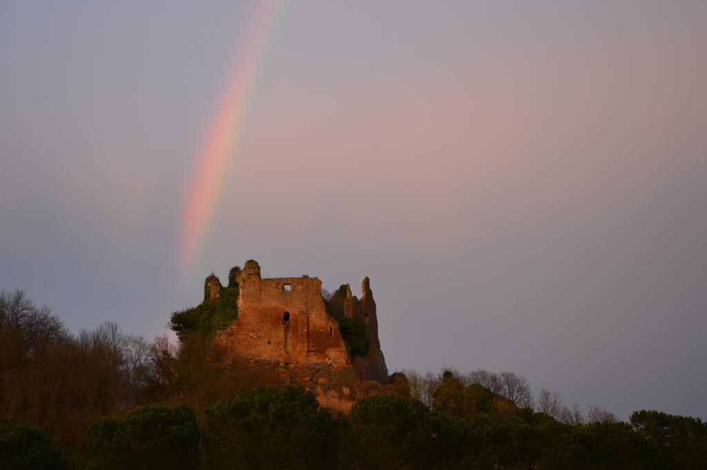 Fattoria Lucciano Villa Borghetto  Eksteriør billede