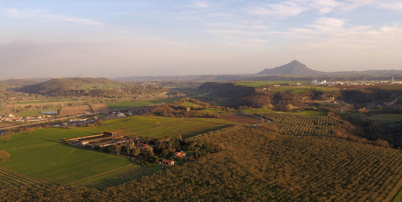 Fattoria Lucciano Villa Borghetto  Eksteriør billede