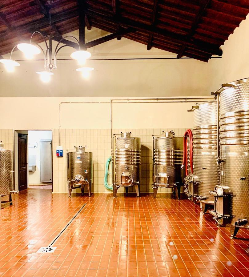 Fattoria Lucciano Villa Borghetto  Eksteriør billede